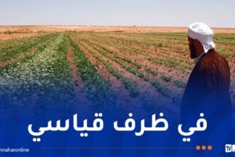 تطبيق رقمي لحل مشاكل العقار الفلاحي
