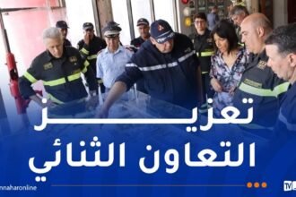 تعاون بين الحماية المدنية الجزائرية ونظيرتها الإيطالية في تسيير الكوارث