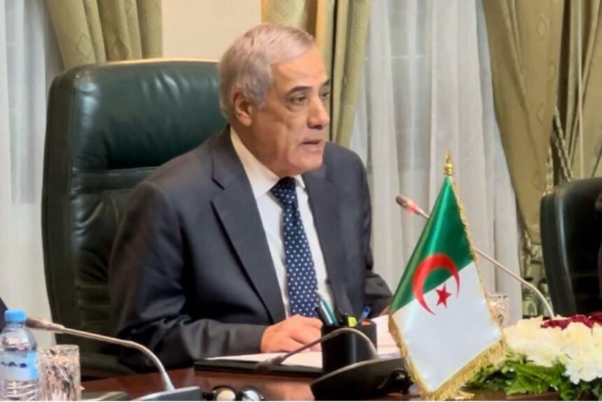 تعزيز شبكة الكابلات البحرية.. الوزير الأول يترأس مجلس مساهمات الدولة