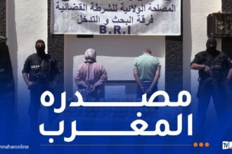 تلمسان: ضبط نصف قنطار من الكيف المعالج
