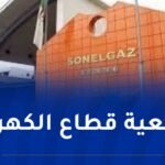تنفيذا لتوجيهات الرئيس تبون.. إيفاد فريق من سونلغاز إلى سوريا