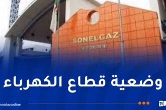 تنفيذا لتوجيهات الرئيس تبون.. إيفاد فريق من سونلغاز إلى سوريا