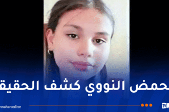 جثة مجهولة في جبل الوحش.. بيان وكيل الجمهورية يحسم الجدل