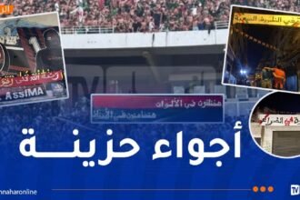 جماهير بلوزداد والاتحاد توقف احتفالاتها تضامنا مع المولودية