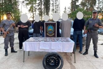 حجز 7331 كبسولة بريغابالين في السعيدة