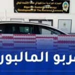 حجز 980 علبة سجائر ذات منشأ جزائري في ميناء مستغانم