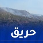 حريق الحظيرة الوطنية للشريعة ينتشر لحدود المدية