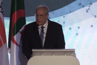 حشيشي: الابتكار.. الاستدامة والتحول الرقمي تحديات 2025 في المجال الطاقوي
