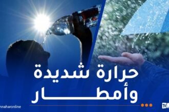 درجات حرارة جد مرتفعة وأمطار على هذه الولايات