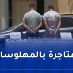 درك الأغواط يحجز 4116 قرص بريغابالين ويوقف شخصين