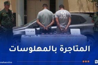 درك الأغواط يحجز 4116 قرص بريغابالين ويوقف شخصين