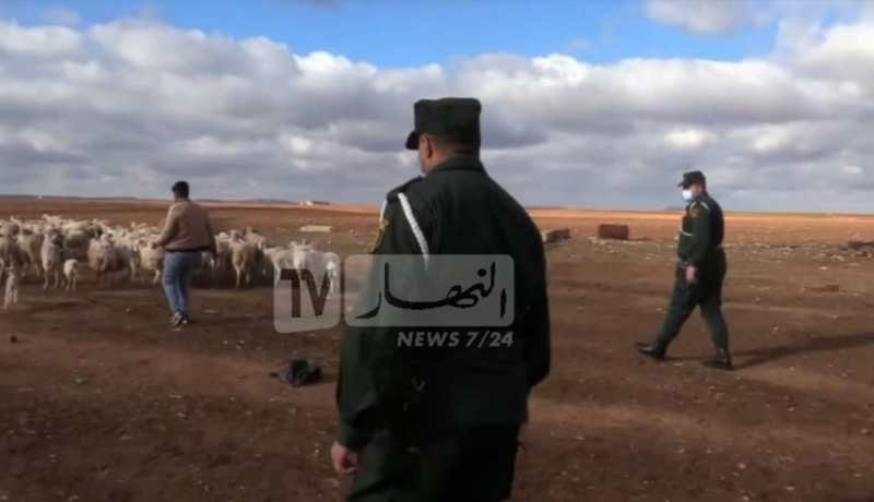 درك المدية يفكك عصابة سرقة المواشي ويوقف أربعة أشخاص بشلالة العذاورة