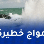 رياح قوية وأمواج عاتية غدا في هذه الولايات!