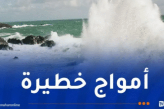 رياح قوية وأمواج عاتية غدا في هذه الولايات!