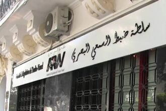 سلطة الضبط تحذر من تهويل إعلامي يُقحم الجزائر في تكهنات زائفة تخدم أجندات أجنبية