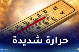 طقس.. حرارة قياسية في 7 ولايات