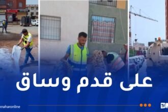 عدل.. أعوان جاست ايمو بلا هوادة