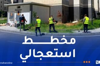 عدل تستعد لعيد الأضحى