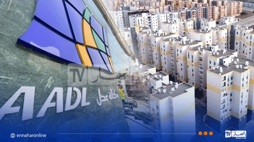 عدل.. حملة واسعة لإزالة تجاوزات المستأجرين العشوائية