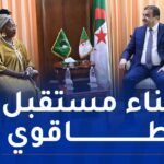 عرقاب يتباحث تعزيز التعاون الطاقوي مع مفوضة الطاقة والبنية التحتية بالإتحاد الإفريقي