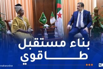 عرقاب يتباحث تعزيز التعاون الطاقوي مع مفوضة الطاقة والبنية التحتية بالإتحاد الإفريقي