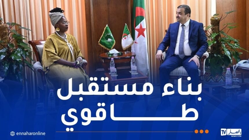 عرقاب يتباحث تعزيز التعاون الطاقوي مع مفوضة الطاقة والبنية التحتية بالإتحاد الإفريقي