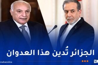 عطاف يتلقى اتصالا من نظيره الإيراني.. وهذا ما دار بينهما
