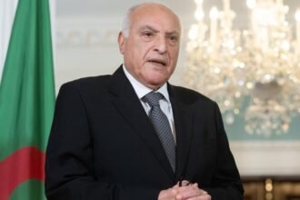 عطاف يتلقى اتصالا من وزيرة الشؤون الأوروبية والدولية لجمهورية النمسا