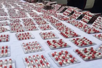 عين تموشنت.. حجز 840 قرصا مهلوسا