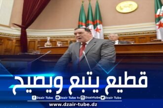 “فقهاء الهراء” و”غوغاء الفايسبوك” يتحاملون على وزير الاتصال ويتنكرون لجهود الدولة في المحافظة على الموروث الثقافي من سطو المخزن