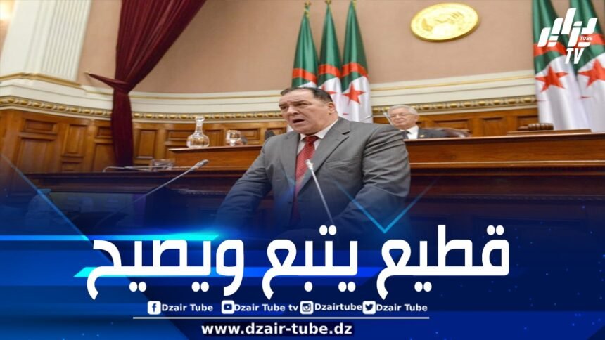 “فقهاء الهراء” و”غوغاء الفايسبوك” يتحاملون على وزير الاتصال ويتنكرون لجهود الدولة في المحافظة على الموروث الثقافي من سطو المخزن