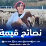 في تصريح لدزاير توب .. الخبيرة جعفري توجه جملة من النصائح الهامة لعيد أضحى صحي وبدون مخاطر