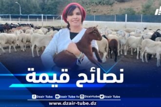 في تصريح لدزاير توب .. الخبيرة جعفري توجه جملة من النصائح الهامة لعيد أضحى صحي وبدون مخاطر