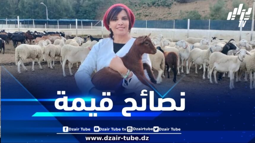في تصريح لدزاير توب .. الخبيرة جعفري توجه جملة من النصائح الهامة لعيد أضحى صحي وبدون مخاطر
