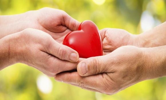 مملكتي الصغيرة باردة باهتة.. فكيف السبيل لأزينها بالحب والمودة؟