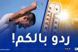 موجة حر تضرب هذه الولايات اليوم