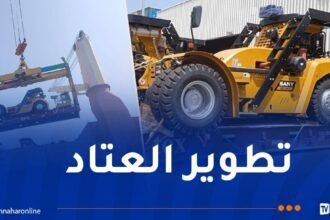 ميناء الجزائر يتدعم بـ 4 رافعات للحاويات الفارغة