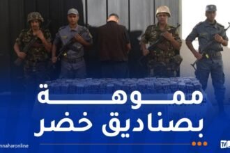 ورقلة.. إحباط محاولة تهريب أزيد من 37 ألف قرص مهلوس