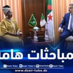 وزير الطاقة والمناجم يستقبل مفوضة الطاقة والبنية التحتية بالاتحاد الإفريقي