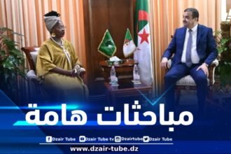 وزير الطاقة والمناجم يستقبل مفوضة الطاقة والبنية التحتية بالاتحاد الإفريقي