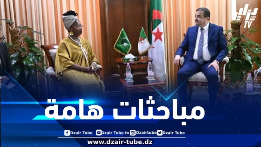 وزير الطاقة والمناجم يستقبل مفوضة الطاقة والبنية التحتية بالاتحاد الإفريقي