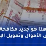 تحقيقات مالية موازية حول قضايا تبييض الأموال.. و2 مليار غرامة لكل من يتعمد عدم التبليغ عن الفساد