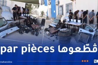 تفكيك سيارة مسروقة إلى قطع بالمسيلة.. والقبض على العصابة قبل بيعها قطعة قطعة