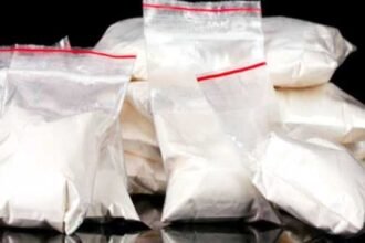 ” SCLTIS” الأغواط تضبط 48 كلغ من الكوكايين
