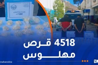 أمن وهران يفكك شبكة إجرامية ويحجز كمية من المخدرات