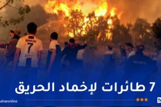 إبعاد و حماية السكان في ثلاث قرى ..حريق مهول بولاية برج بوعريريج