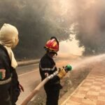 إخماد حرائق الغابات، الأدغال والأحراش بهذه الولايات 