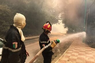 إخماد حرائق الغابات، الأدغال والأحراش بهذه الولايات 