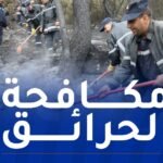 إخماد حرائق غابات عبر 9 ولايات