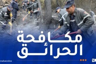 إخماد حرائق غابات عبر 9 ولايات